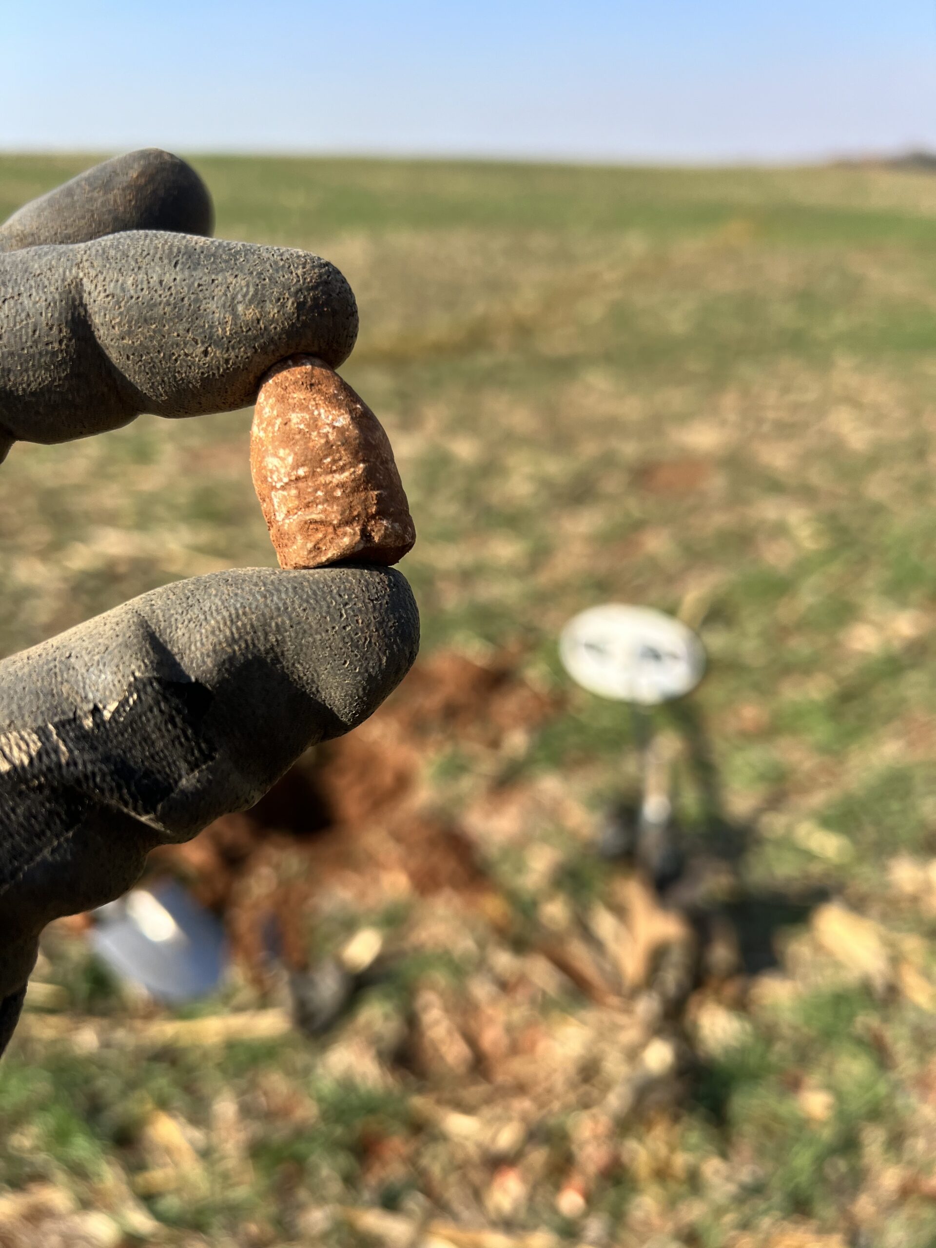 Featured image for “THe MINELAB GPX Series”